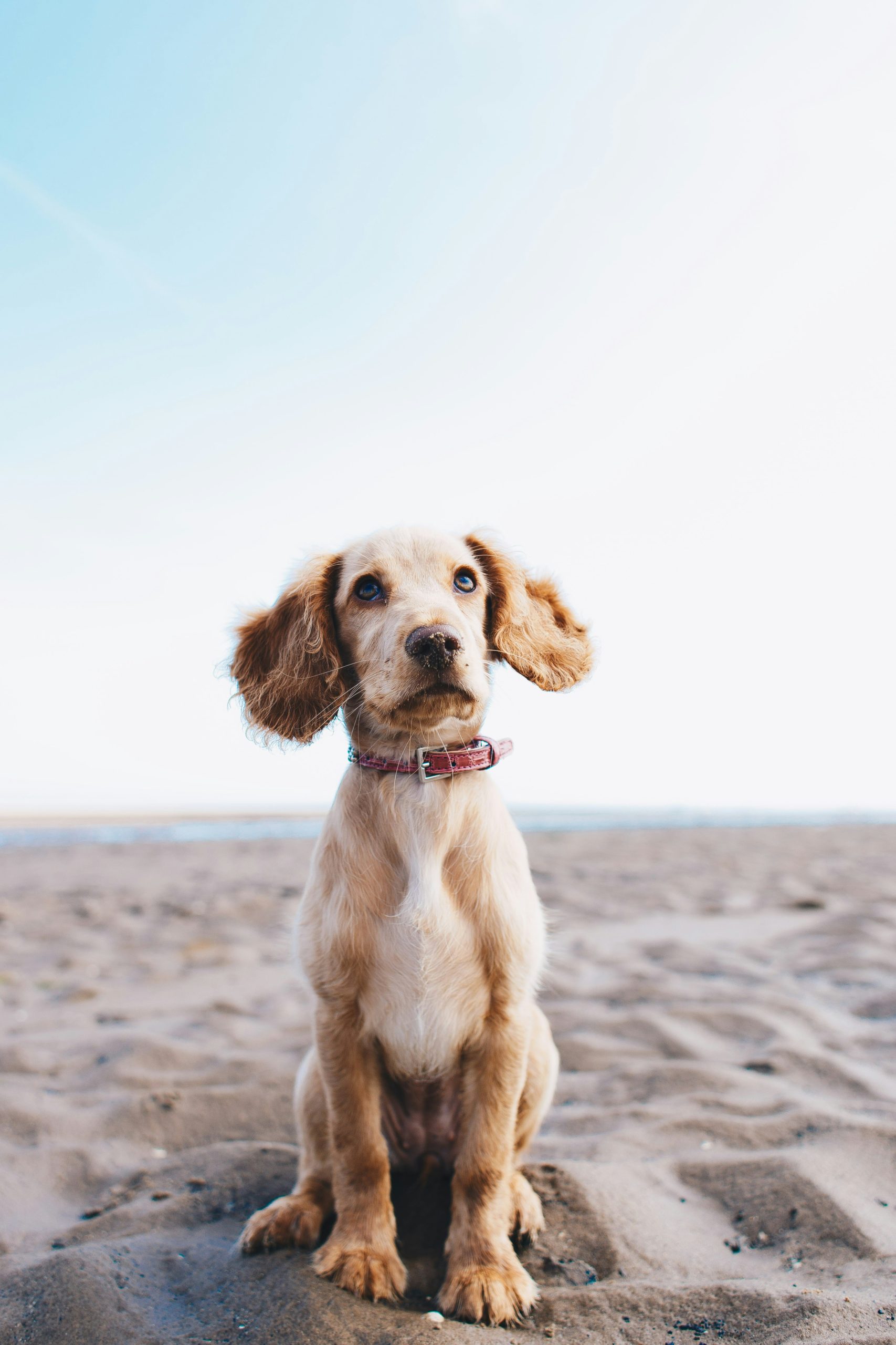 ryan-walton-AbNO2iejoXA-unsplash